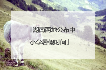 湖南两地公布中小学暑假时间