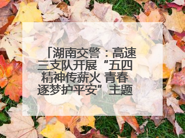 湖南交警：高速三支队开展“五四精神传薪火 青春逐梦护平安”主题实践活动