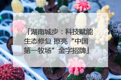 湖南城步：科技赋能生态修复 擦亮“中国第一牧场”金字招牌