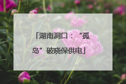 湖南洞口：“孤岛”破晓保供电