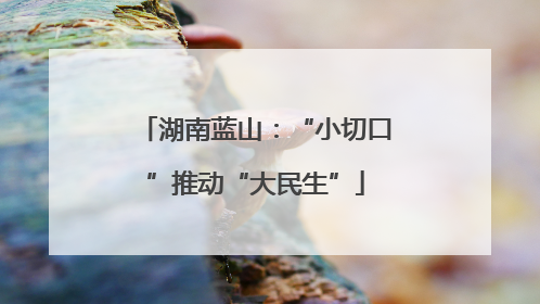 湖南蓝山：“小切口”推动“大民生”