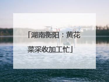 湖南衡阳：黄花菜采收加工忙