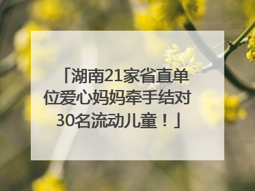 湖南21家省直单位爱心妈妈牵手结对30名流动儿童！