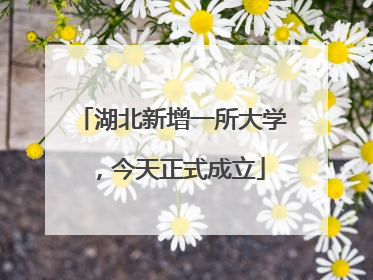 湖北新增一所大学，今天正式成立
