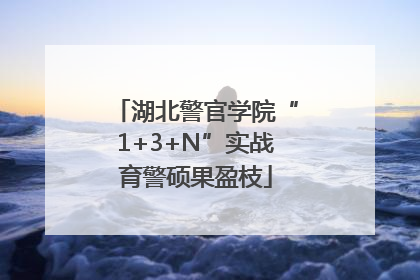 湖北警官学院“1+3+N”实战育警硕果盈枝