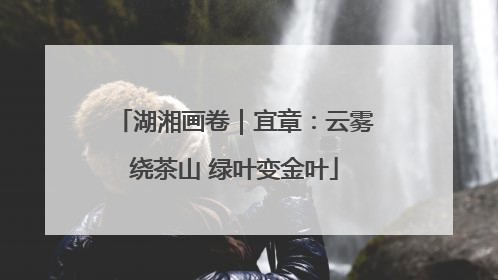 湖湘画卷｜宜章：云雾绕茶山 绿叶变金叶