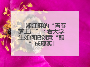湘江畔的“青春梦工厂”：看大学生如何把创意“酿”成现实