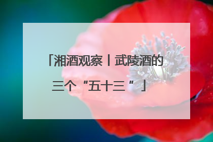 湘酒观察丨武陵酒的三个“五十三 ”