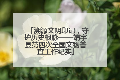溯源文明印记，守护历史根脉——靖宇县第四次全国文物普查工作纪实