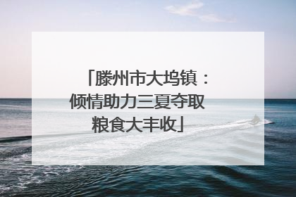滕州市大坞镇：倾情助力三夏夺取粮食大丰收