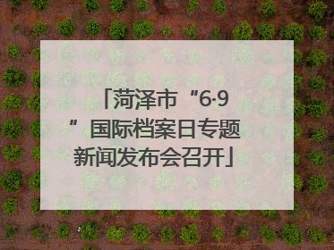 菏泽市“6·9”国际档案日专题新闻发布会召开