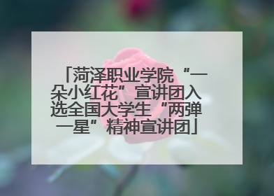 菏泽职业学院“一朵小红花”宣讲团入选全国大学生“两弹一星”精神宣讲团