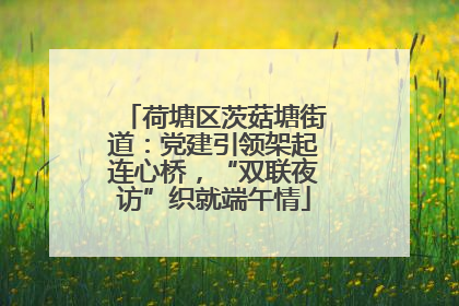 荷塘区茨菇塘街道：党建引领架起连心桥，“双联夜访”织就端午情