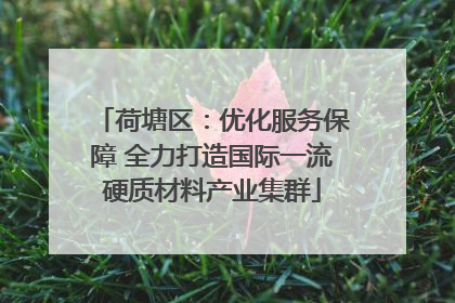 荷塘区：优化服务保障 全力打造国际一流硬质材料产业集群