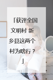 获评全国文明村 新乡县这两个村为啥行？