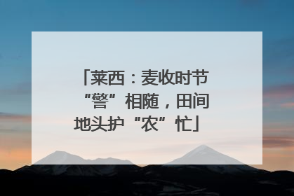 莱西：麦收时节“警”相随，田间地头护“农”忙
