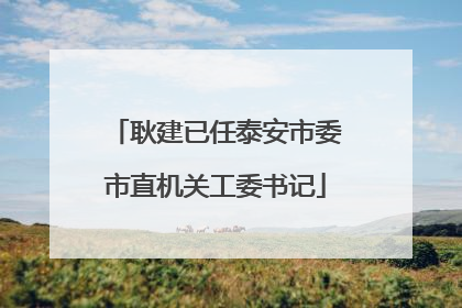 耿建已任泰安市委市直机关工委书记