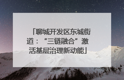 聊城开发区东城街道：“三链融合”激活基层治理新动能