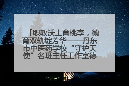 职教沃土育桃李，德育双轨绽芳华——丹东市中医药学校“守护天使”名班主任工作室德育实践之路