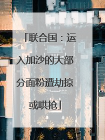 联合国：运入加沙的大部分面粉遭劫掠或哄抢
