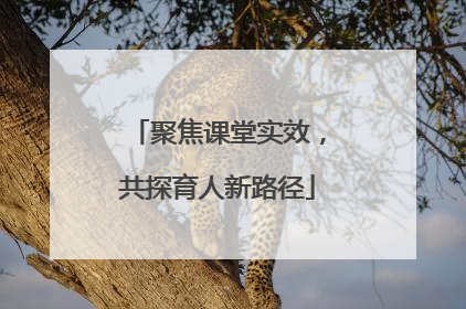 聚焦课堂实效，共探育人新路径