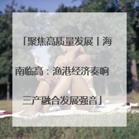 聚焦高质量发展丨海南临高：渔港经济奏响三产融合发展强音
