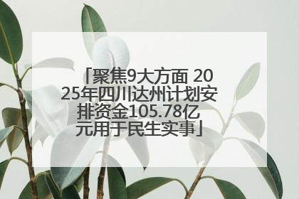 聚焦9大方面 2025年四川达州计划安排资金105.78亿元用于民生实事