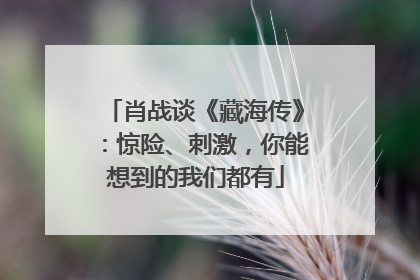 肖战谈《藏海传》：惊险、刺激，你能想到的我们都有