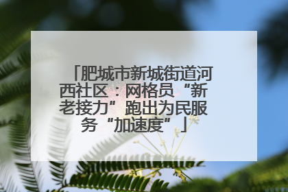 肥城市新城街道河西社区：网格员“新老接力”跑出为民服务“加速度”