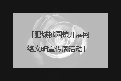 肥城桃园镇开展网络文明宣传周活动