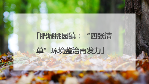 肥城桃园镇：“四张清单”环境整治再发力