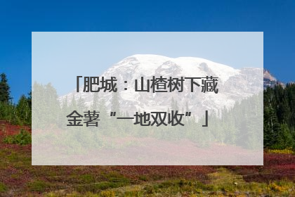肥城：山楂树下藏金薯“一地双收”