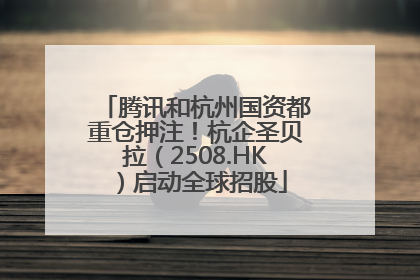 腾讯和杭州国资都重仓押注！杭企圣贝拉（2508.HK）启动全球招股