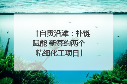 自贡沿滩：补链赋能 新签约两个精细化工项目