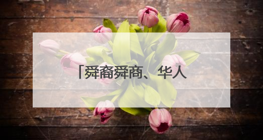 舜裔舜商、华人华侨花车巡游、文化踩街点亮宁远