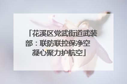 花溪区党武街道武装部：联防联控保净空 凝心聚力护航空