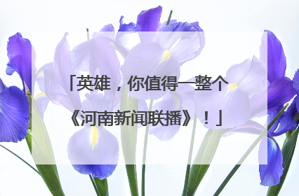 英雄，你值得一整个《河南新闻联播》！