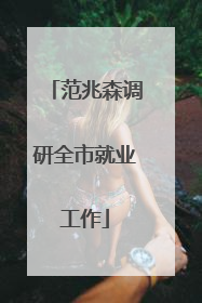 范兆森调研全市就业工作