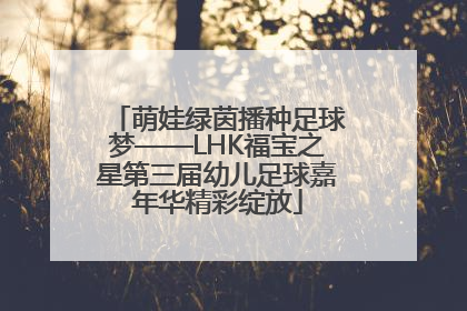 萌娃绿茵播种足球梦——LHK福宝之星第三届幼儿足球嘉年华精彩绽放