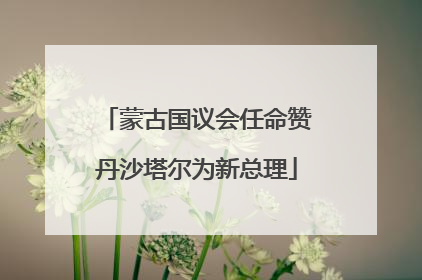 蒙古国议会任命赞丹沙塔尔为新总理