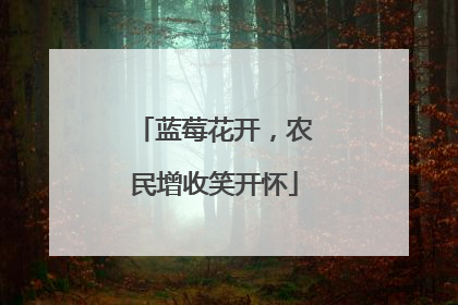 蓝莓花开，农民增收笑开怀