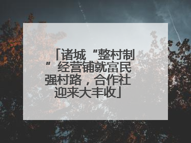 诸城“整村制”经营铺就富民强村路，合作社迎来大丰收
