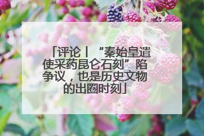评论丨“秦始皇遣使采药昆仑石刻”陷争议，也是历史文物的出圈时刻