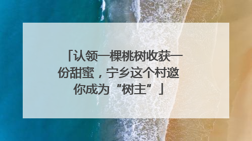 认领一棵桃树收获一份甜蜜，宁乡这个村邀你成为“树主”