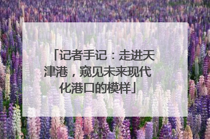 记者手记：走进天津港，窥见未来现代化港口的模样