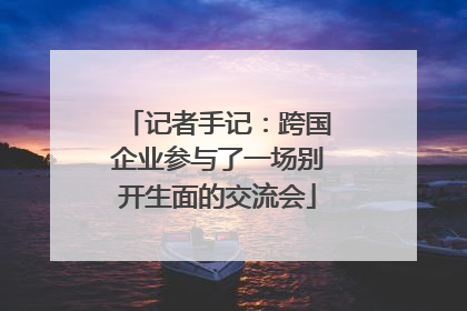 记者手记：跨国企业参与了一场别开生面的交流会