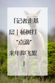 记者走基层｜杨树打“点滴” 来年抑飞絮
