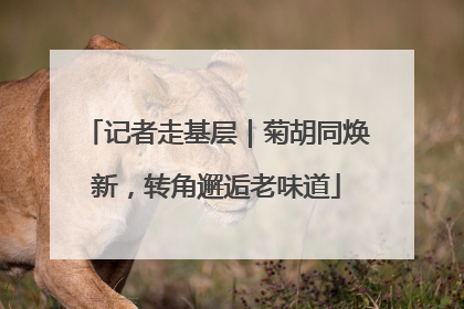 记者走基层｜菊胡同焕新，转角邂逅老味道