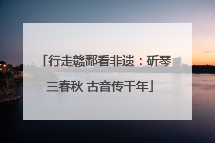 行走赣鄱看非遗：斫琴三春秋 古音传千年