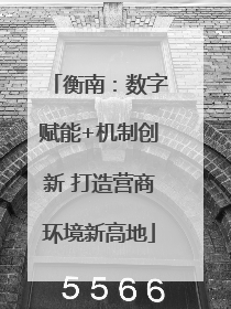 衡南：数字赋能+机制创新 打造营商环境新高地